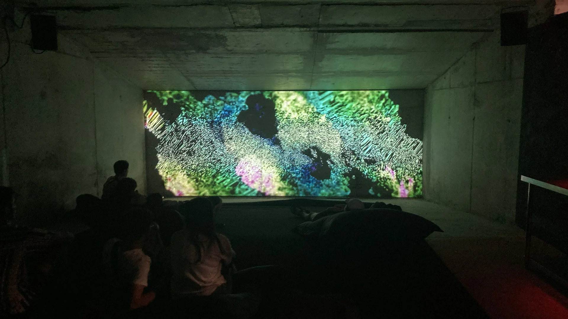 NEXA studio